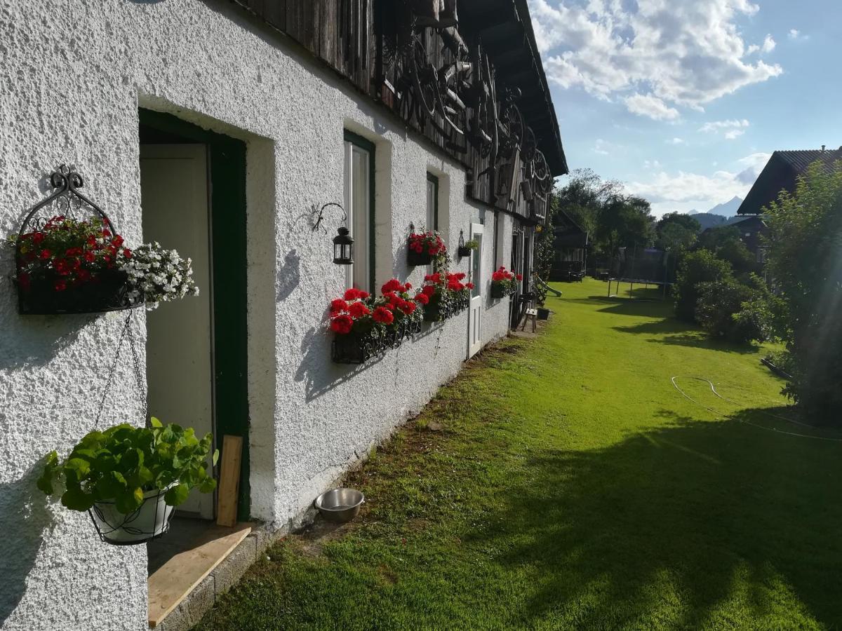 Haus Elisabeth Bed & Breakfast Aigen im Ennstal Dış mekan fotoğraf